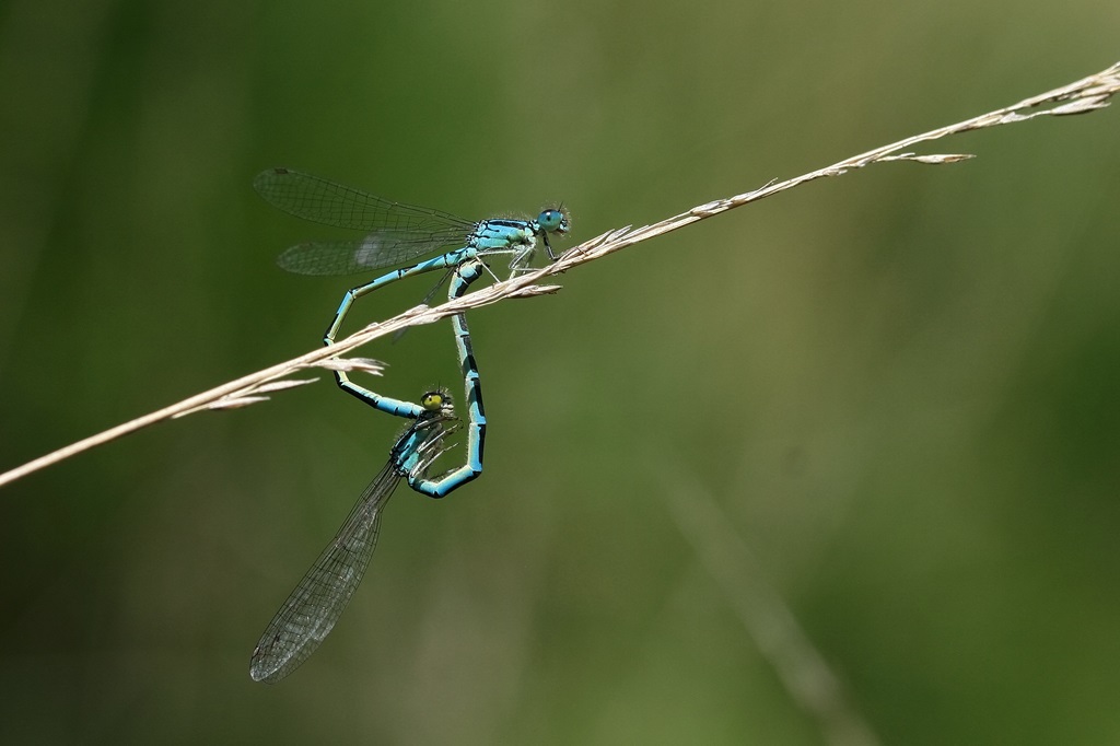 10 IMG_6032X.JPG