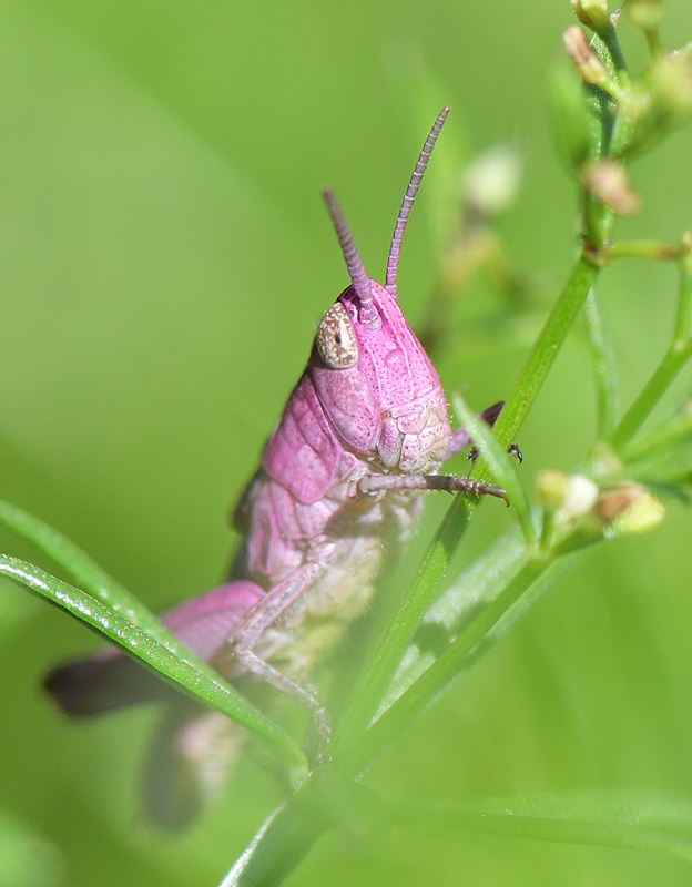 DSC_2095.jpg