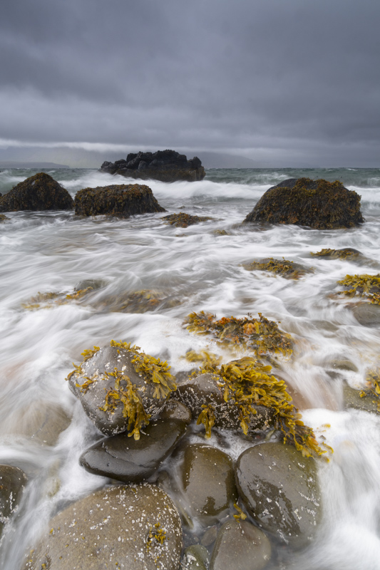 _DSC9666.jpg