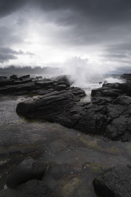 _DSC9340.jpg
