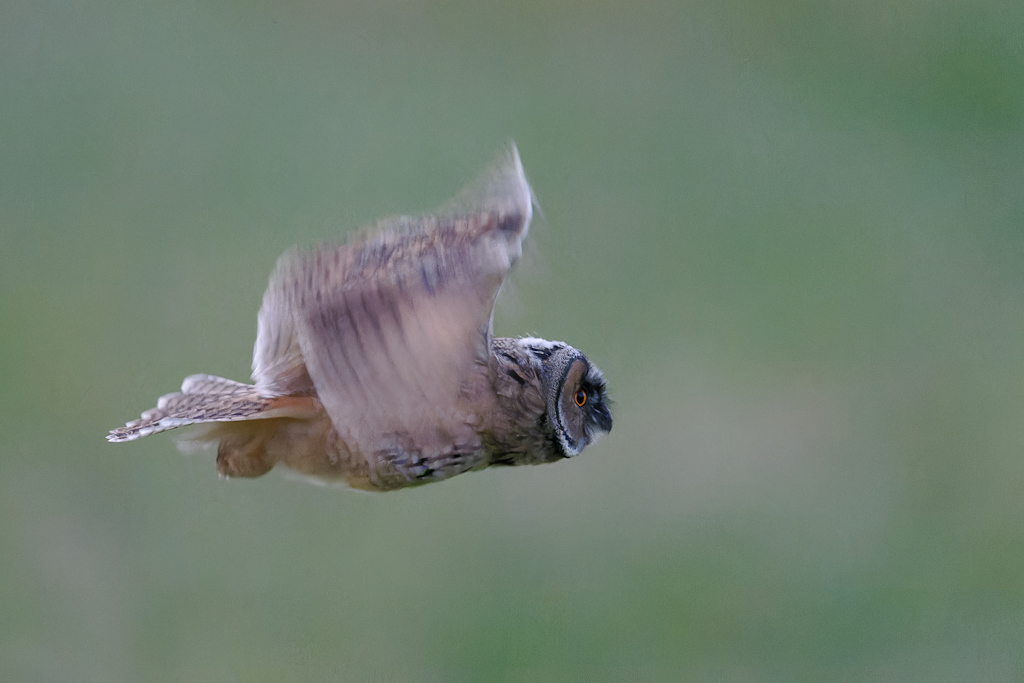 06DSC_2669_DxO.jpg