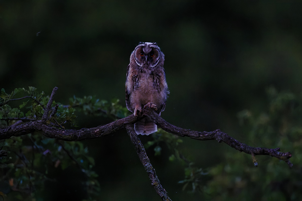 06DSC_5356_DxO.jpg