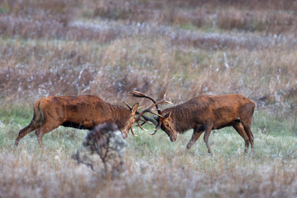 DSC_7031_DxO_DxO.jpg