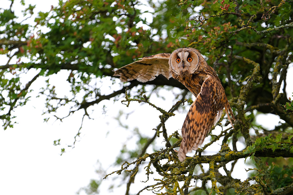 07DSC_4700_DxO.jpg