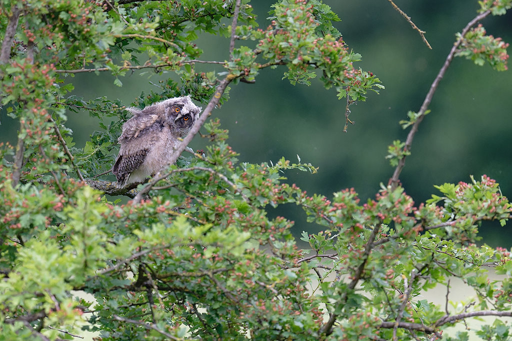 08DSC_6278_DxO.jpg