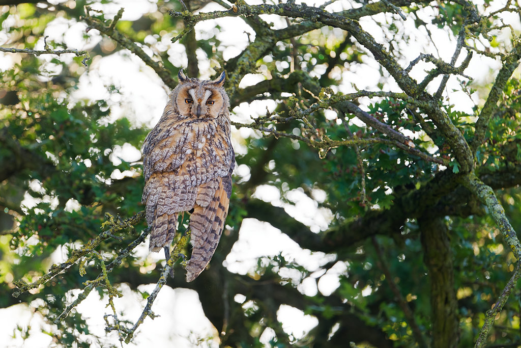 09DSC_5228_DxO.jpg