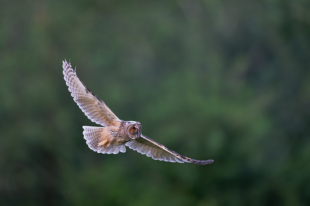 09DSC_7499_DxO.jpg