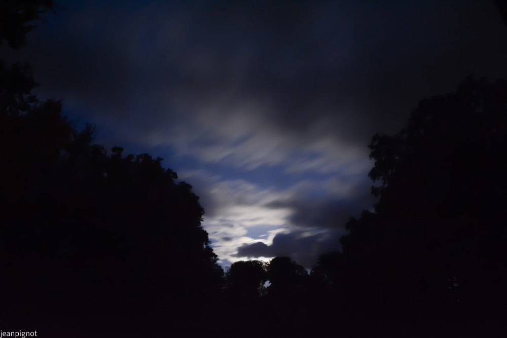 DSC_4348_001DSC_4348.JPG