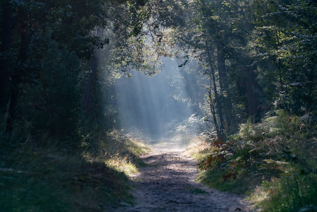 Puit de lumière -0-.jpg