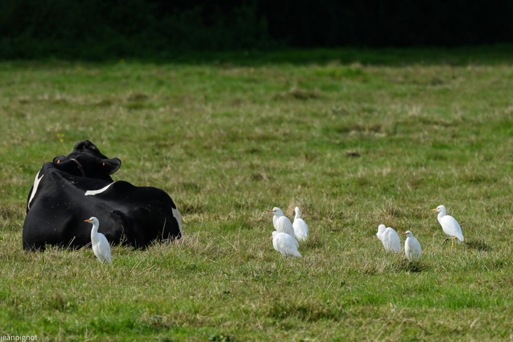 DSC_8863_001DSC_8863.JPG