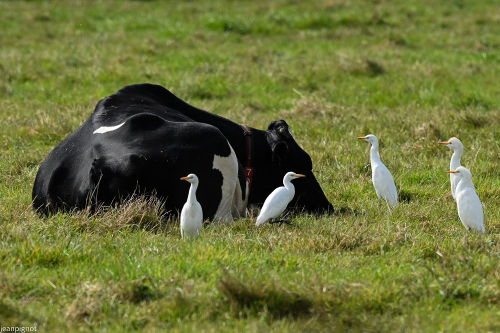 DSC_8873_001DSC_8873_01.JPG