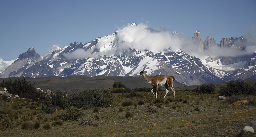 _MG_2571.jpg