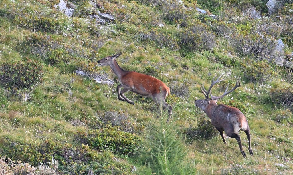 ZSC_8453.jpg