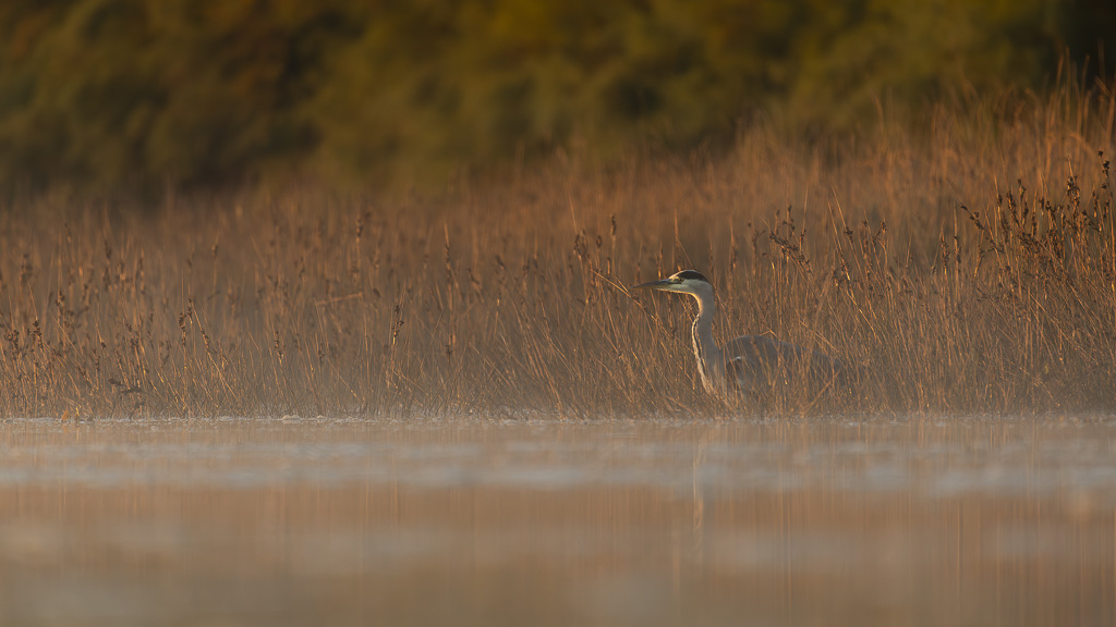 _DSC1605-Enhanced-NR-3.jpg