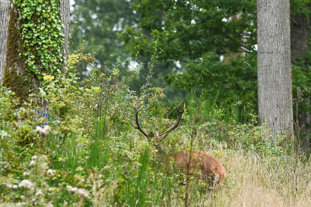 DSC_9220_001DSC_9220_02.JPG