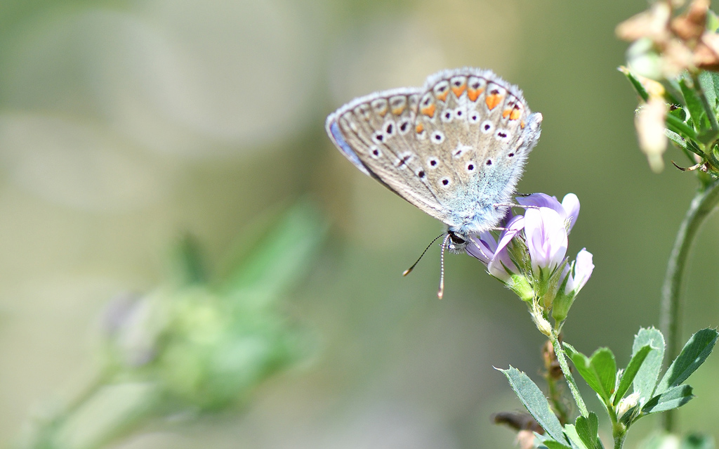 DSC_2279.jpg