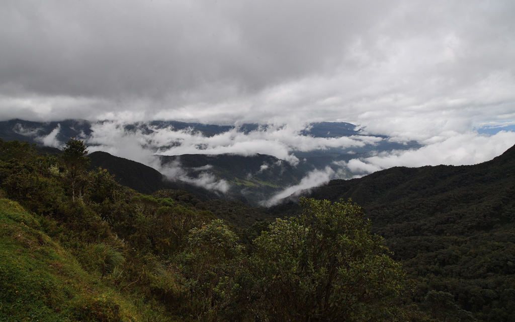 DS5_3881.jpg