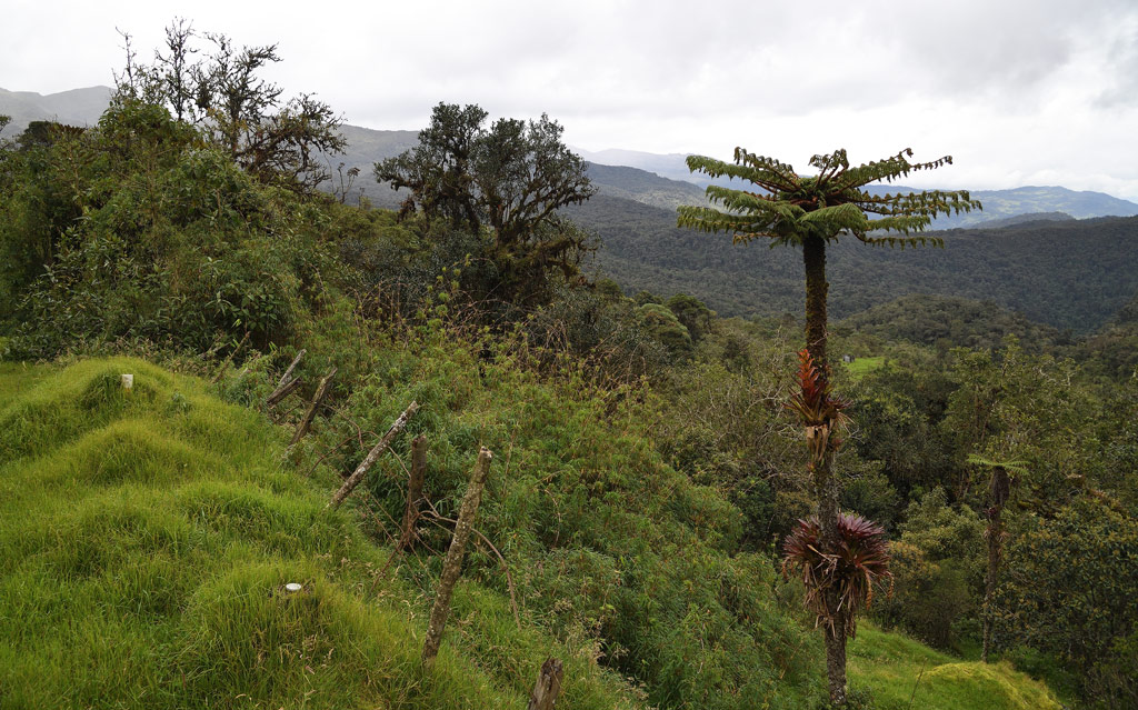 DS5_3888.jpg
