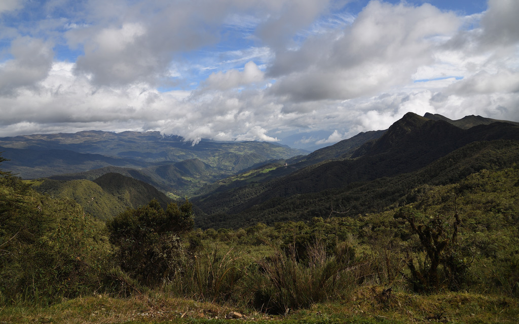 DS5_3889.jpg