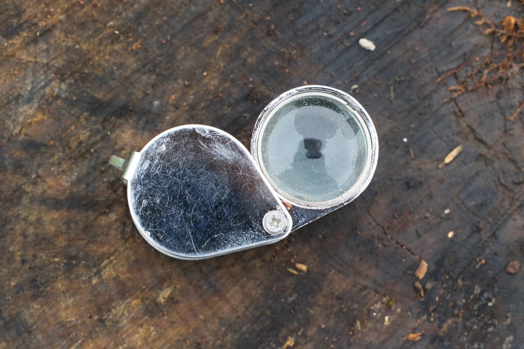 loupe.jpg