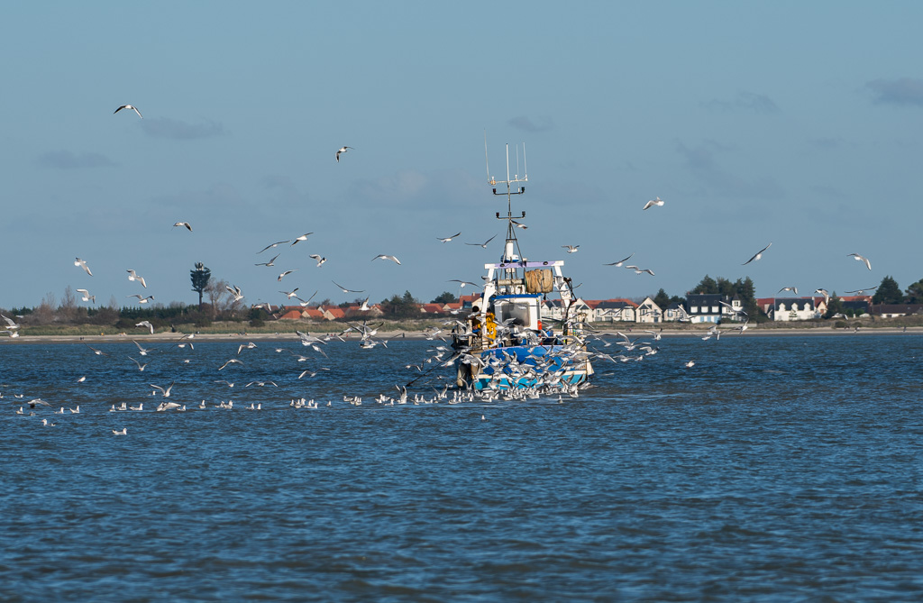 Partie de pêche -1-.jpg