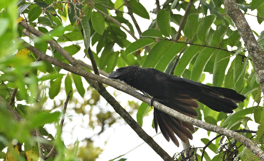 ZSC_6605.jpg