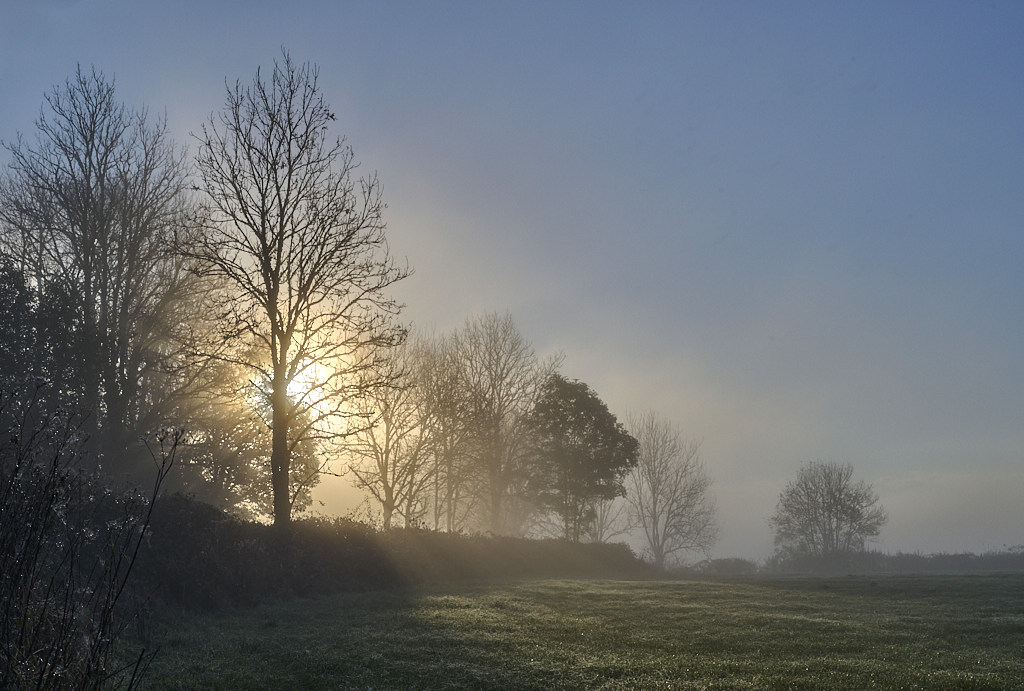 c7970_1_02.jpg