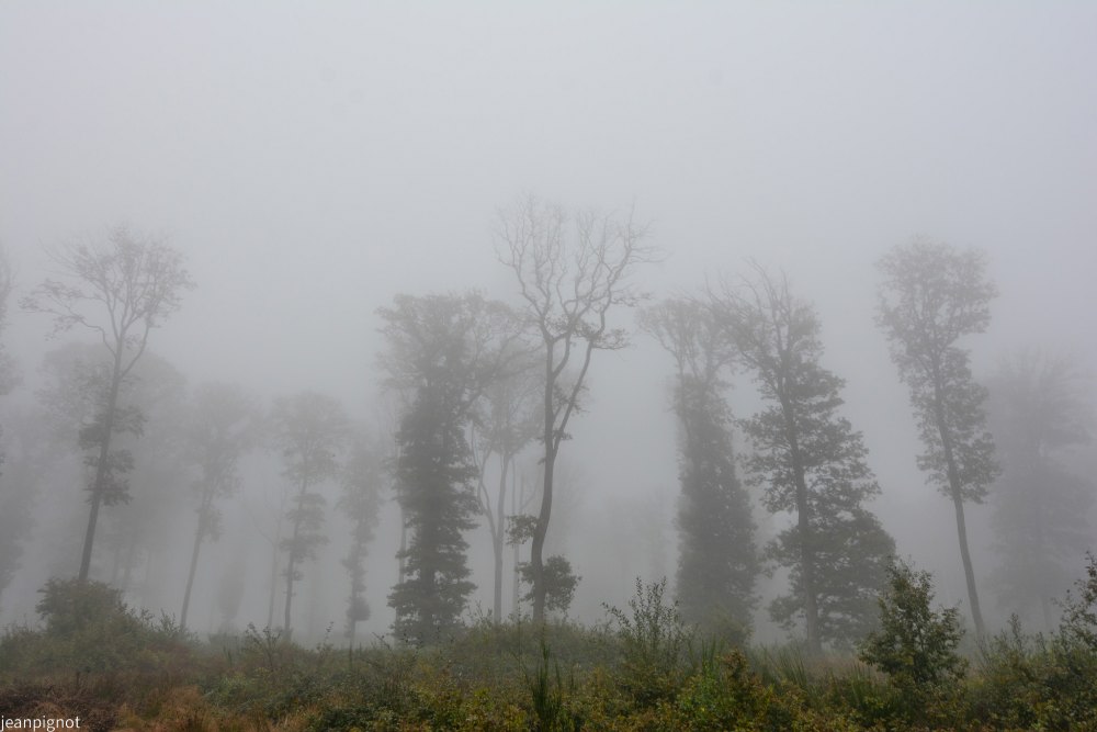 DSC_4356_001DSC_4356.JPG