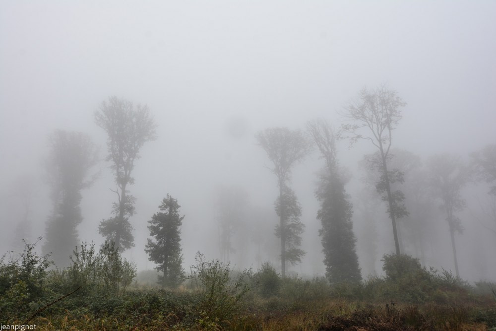 DSC_4358_001DSC_4358.JPG