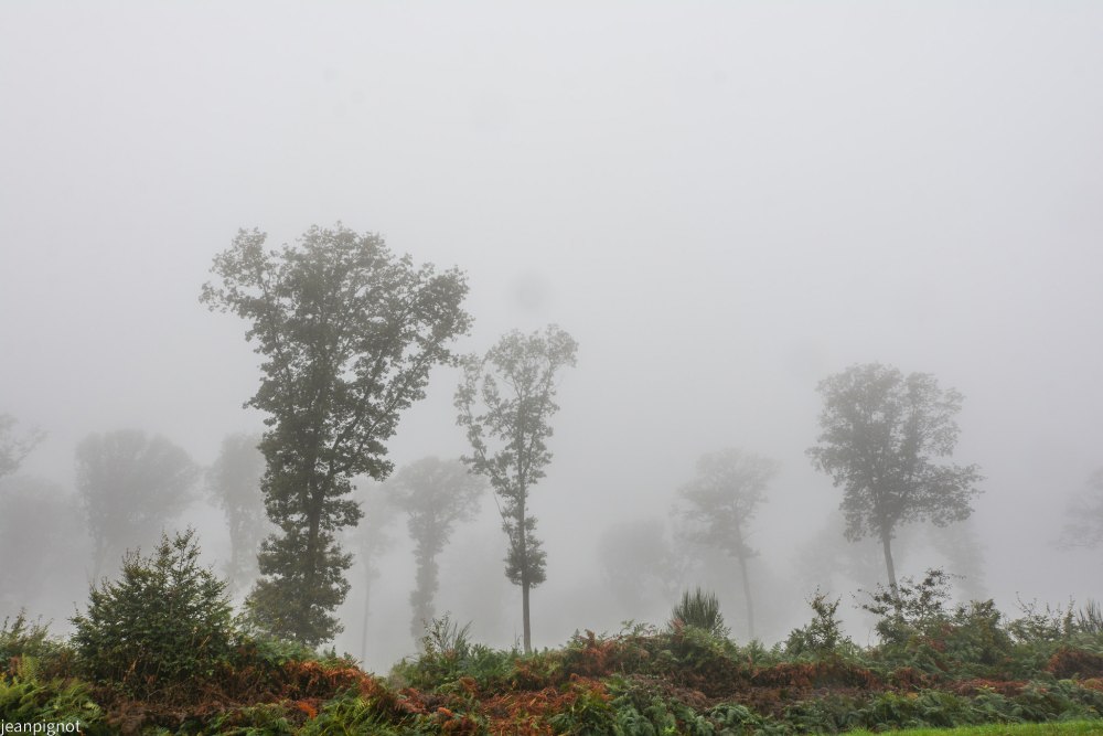 DSC_4360_001DSC_4360.JPG