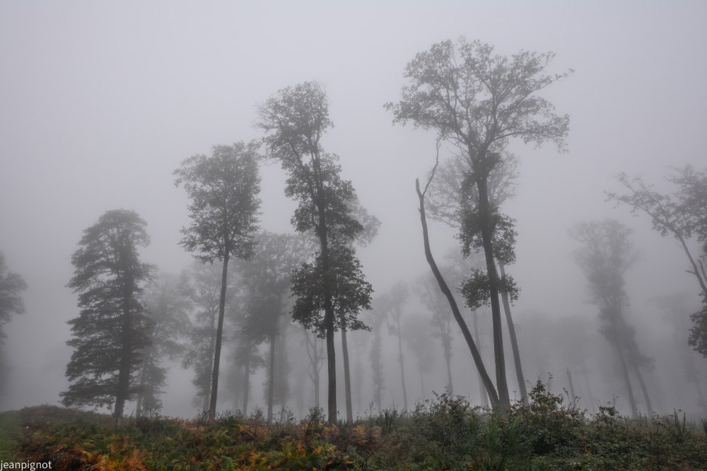 DSC_4369_001DSC_4369.JPG