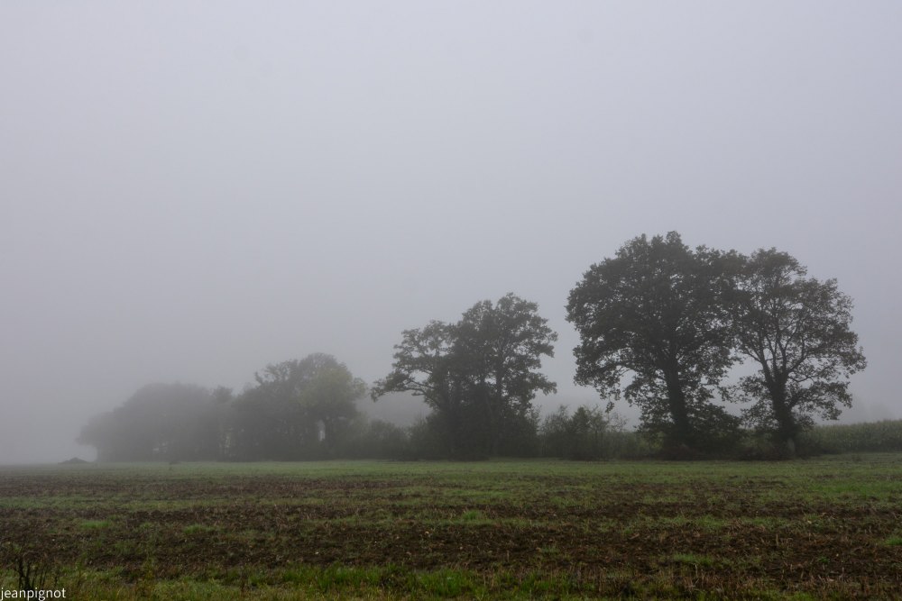 DSC_4403_001DSC_4403.JPG