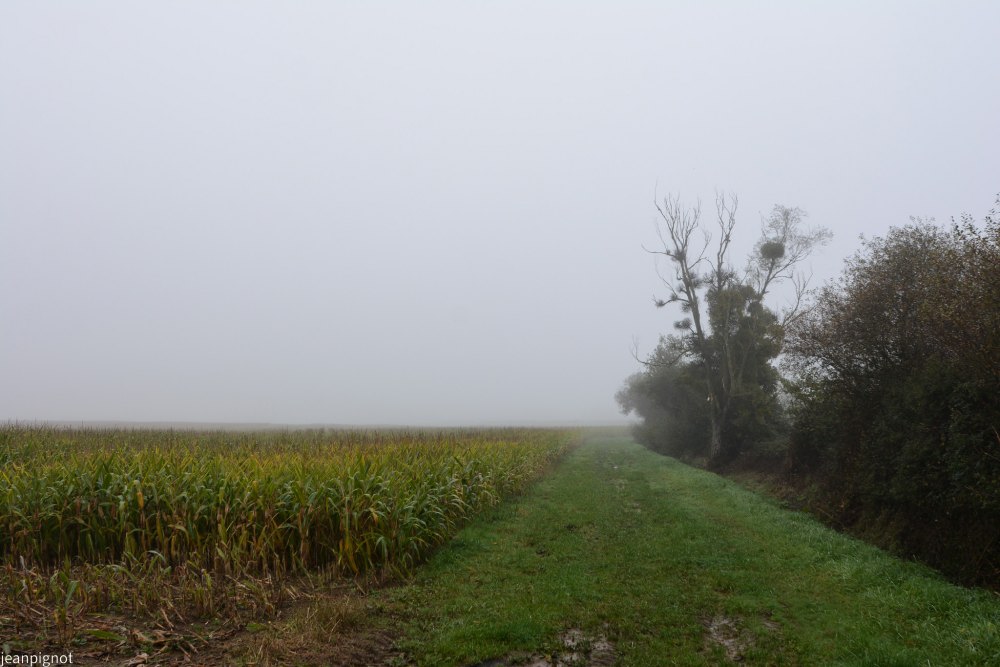 DSC_4404_001DSC_4404.JPG