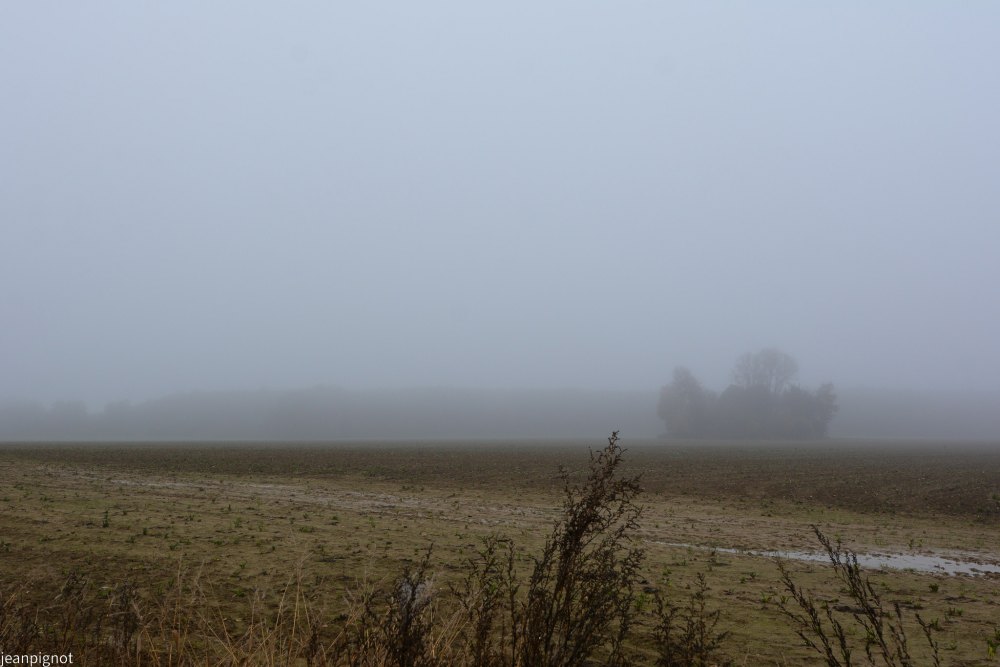 DSC_4407_001DSC_4407.JPG