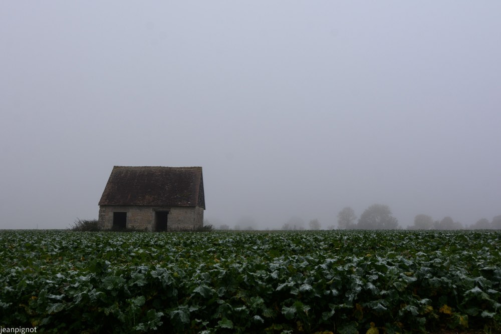 DSC_4409_001DSC_4409.JPG
