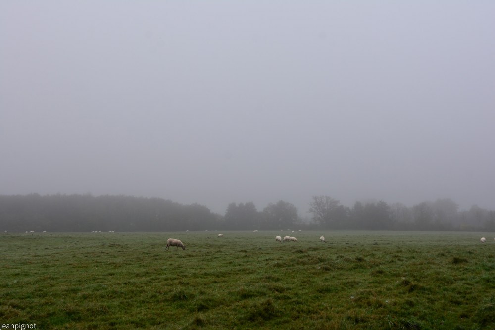 DSC_4408_001DSC_4408.JPG