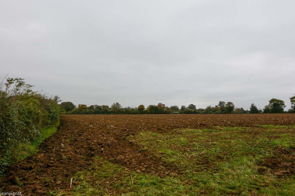 DSC_4433_001DSC_4433.JPG