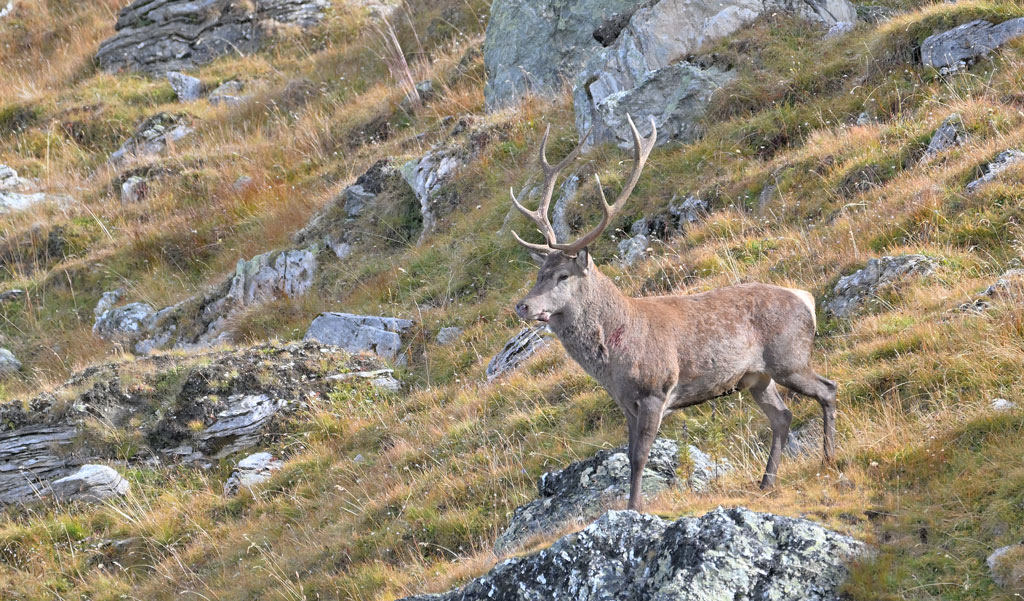 ZSC_8959.jpg