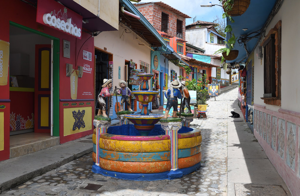 DS5_3912.jpg