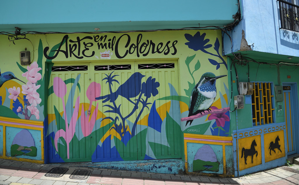 DS5_3939.jpg