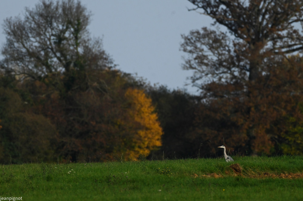 DSC_3367_001DSC_3367.JPG