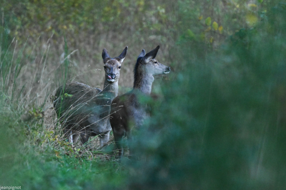 DSC_5766_001DSC_5766.JPG