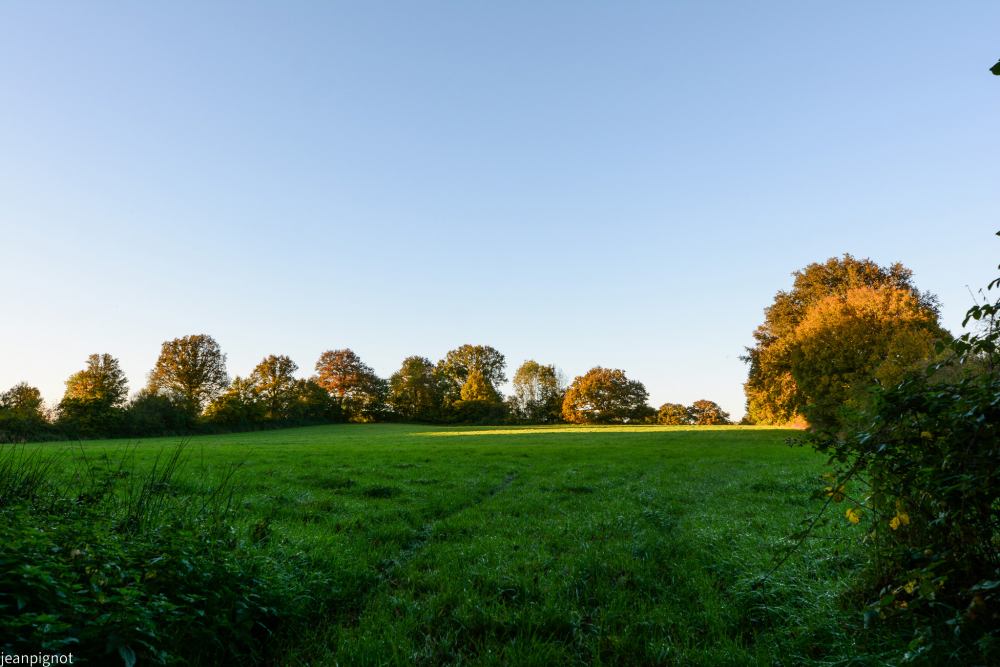 DSC_4397_001DSC_4397.JPG