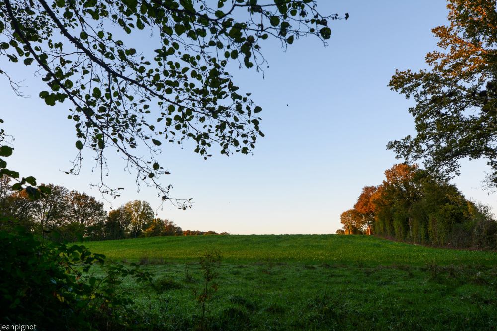 DSC_4398_001DSC_4398.JPG
