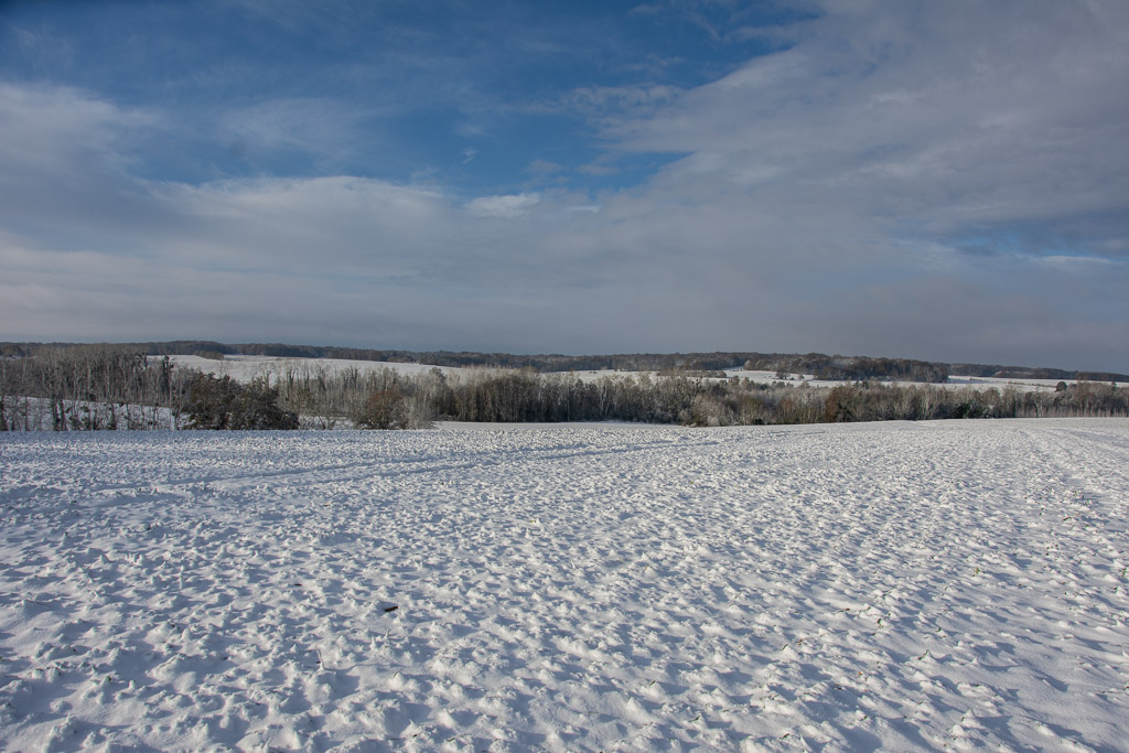 Neige novembre 2024 -5-.jpg