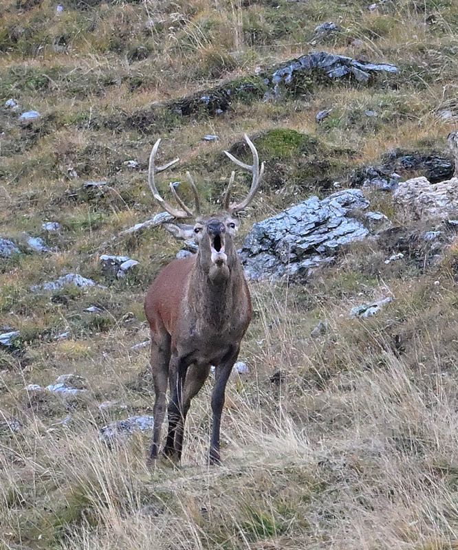 ZSC_9196.jpg