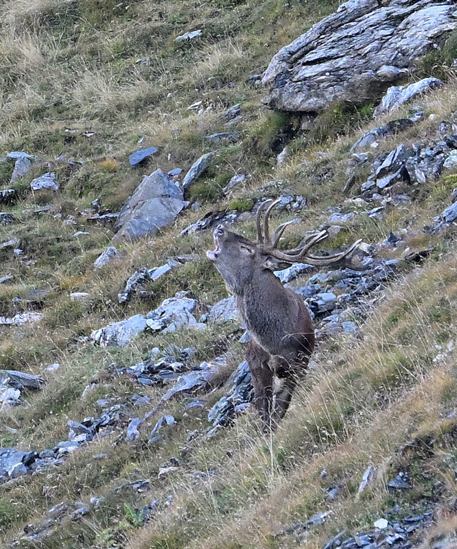 ZSC_9242.jpg