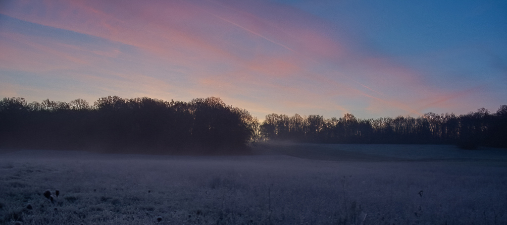 Matin du 29.11.2024.jpg
