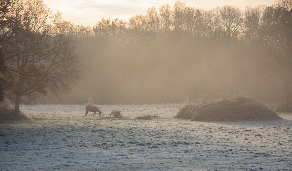 matin du 29.11.2024 -1-.jpg