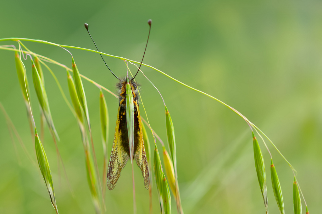 DSC_7419_DxOredim.jpg